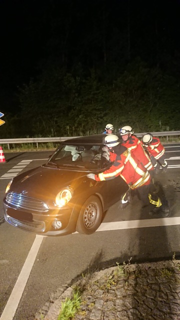 DSC_0179 bearbeitet groß.jpg